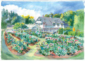 Fuller Gardens Side Garden, watercolor by Denise Brown