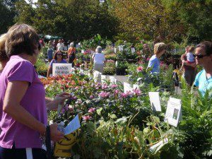 garden, plant sale, spring, mother's day, seacoast, nh, new hampshire, hampton, vacation