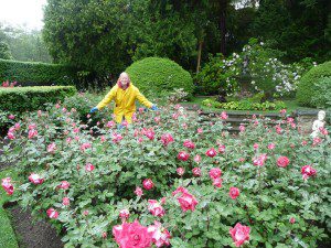 gardener, conservation, conservatory, history, sustainability, rye, north hampton, nh, new england