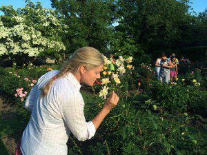 garden, party, roses, seacoast, elegant, historic, jazz, art, nh, bloom, summer