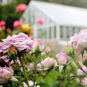 Fuller Gardens Greenhouse